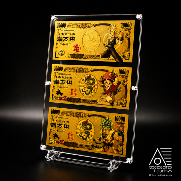 Cadre de protection pour vos billets collector (jusqu'à 6 billets)