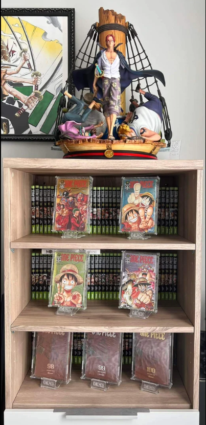 Boîte de protection pour manga – Accessoires-Figurines