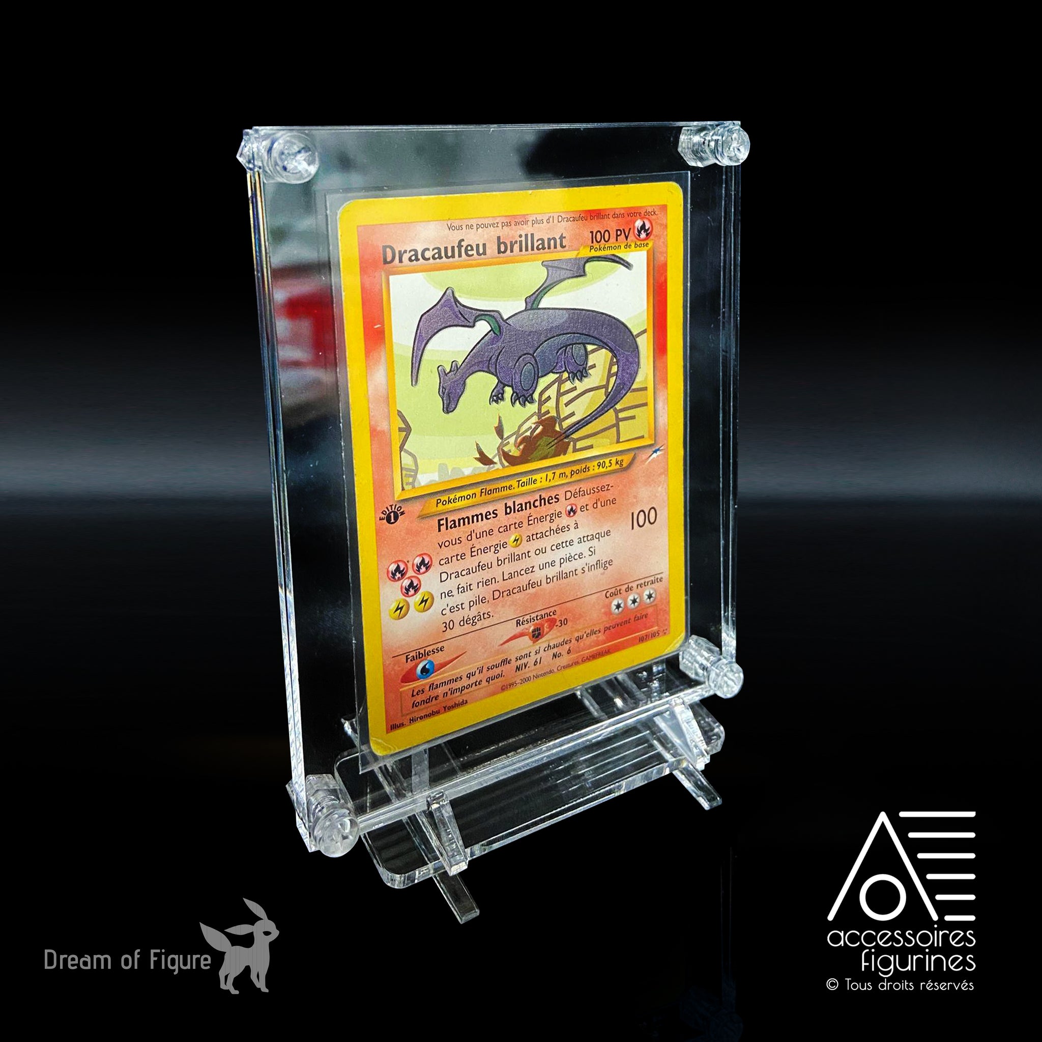 Support d’Affichage en Acrylique rigide pour Cartes Pokemon, Magic MTG,  Yugioh. Pochette de Cartes à Collectionner avec Fermeture